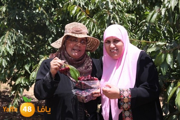 bayareq re7la shamal 0612 (63).JPG